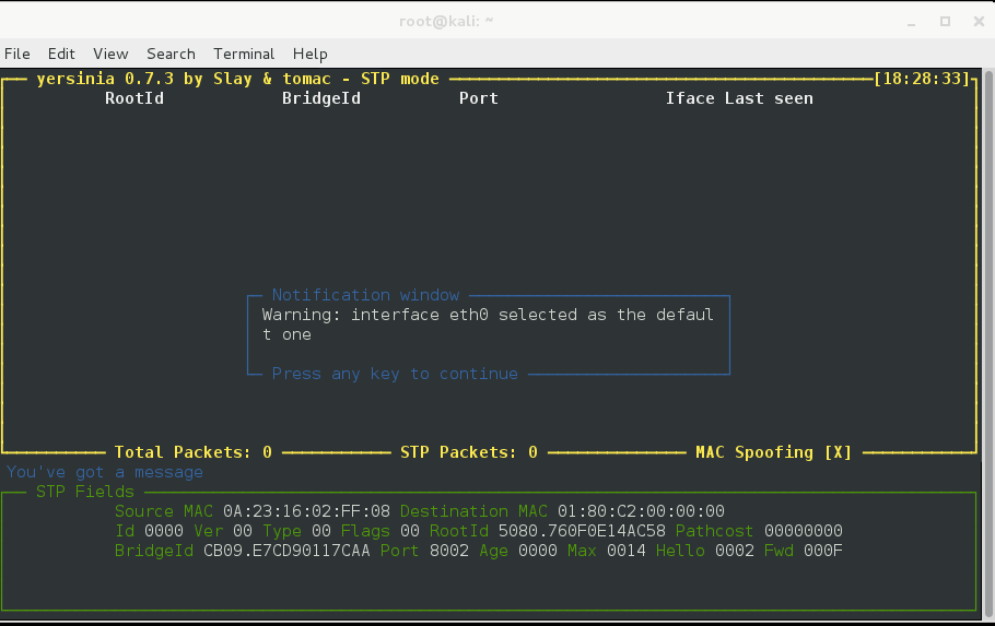 dhcp starvation