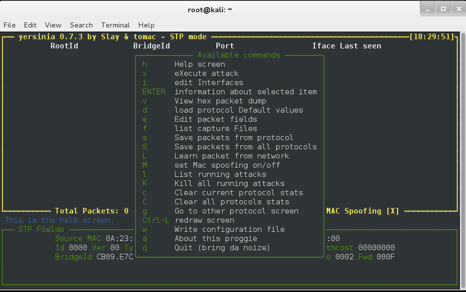 dhcp starvation