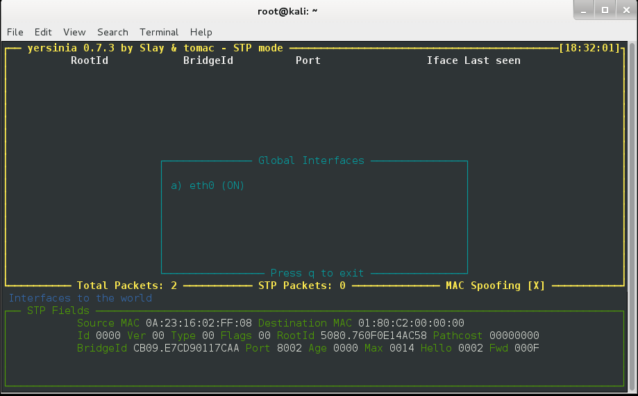 dhcp starvation