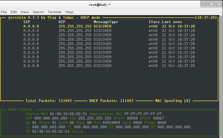 dhcp starvation