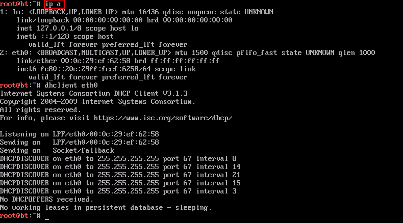 dhcp starvation