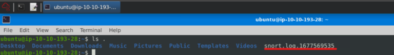 How to Use the Snort IDS/IPS Complete Practical Guide
