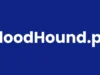 BloodHound.py : Installation, Usage, And Features