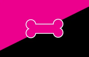 Conduwuit : Pioneering A New Era In Matrix Homeservers