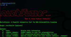 NucleiFuzzer = Nuclei + Paramspider + waybackurls + gauplus + hakrawler + katana + Fuzzing Templates