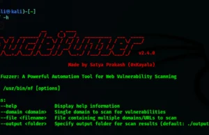 NucleiFuzzer = Nuclei + Paramspider + waybackurls + gauplus + hakrawler + katana + Fuzzing Templates