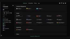 GoDoxy : A Lightweight Reverse Proxy Tool