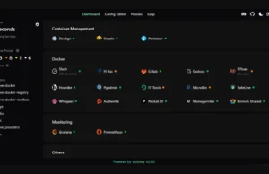 GoDoxy : A Lightweight Reverse Proxy Tool