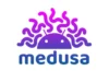 MEDUSA : A Comprehensive Framework For Dynamic Mobile Application Analysis