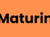 Maturin : Bridging Python And Rust For Enhanced Package Development