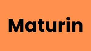 Maturin : Bridging Python And Rust For Enhanced Package Development