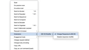 200-OK-Modifier : Mastering Web Application Analysis And Penetration Testing