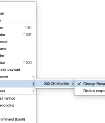 200-OK-Modifier : Mastering Web Application Analysis And Penetration Testing
