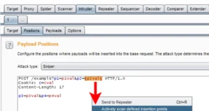 Burp-Rxss-scan-TG : Enhancing XSS Scanning With Burp Suite Extensions
