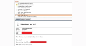 BurpSuite-Xkeys : Mastering Key And Token Extraction For Web Security