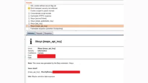 BurpSuite-Xkeys : Mastering Key And Token Extraction For Web Security