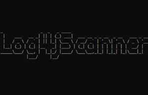 Log4jScanner : A Comprehensive Tool For Vulnerability Detection