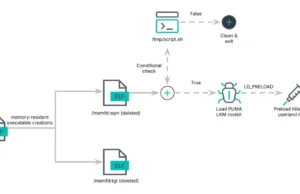 NailaoLoader : Hiding Execution Flow via Patching