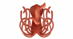 Squid : A RISC-V Emulator For Vulnerability Research