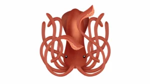 Squid : A RISC-V Emulator For Vulnerability Research