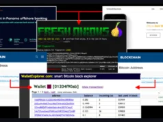 Unveiling Offshore Banking And Dark Web Operations via Blockchain Analysis : An OSINT Case Study