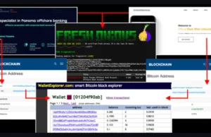 Unveiling Offshore Banking And Dark Web Operations via Blockchain Analysis : An OSINT Case Study
