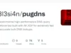 pugDNS : Revolutionizing DNS Query Speed And Accuracy For Advanced Networking Needs