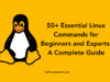 50+ Essential Linux Commands for Beginners and Experts: A Complete Guide 50-Essential-Linux-Commands-for-Beginners-and-Experts-A-Complete-Guide
