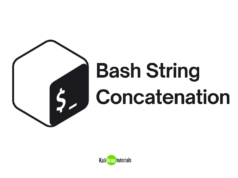 Bash String Concatenation – Bash Scripting Bash String Concatenation