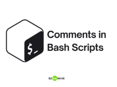 Comments in Bash Scripts Comments in Bash Scripts