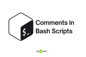 Comments in Bash Scripts
