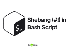 Shebang (#!) in Bash Script Shebang (#!) in Bash Script