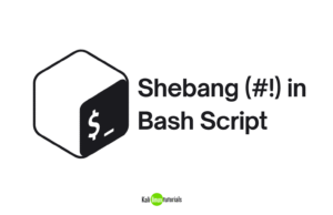 Shebang (#!) in Bash Script Shebang (#!) in Bash Script
