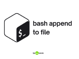 bash append to file