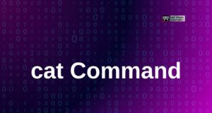 cat Command: Read and Combine File Contents in Linux cat Command