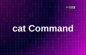 cat Command: Read and Combine File Contents in Linux cat Command