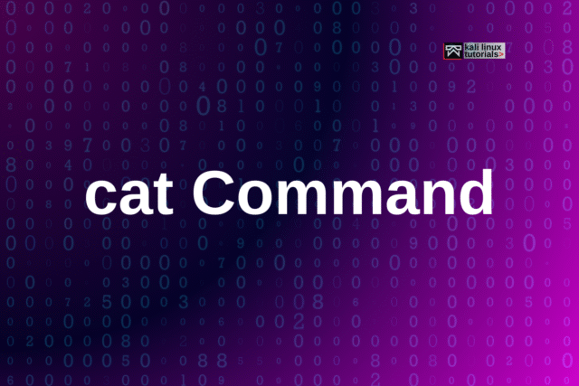cat Command