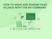 How to Move and Rename Files in Linux with the mv Command mv command